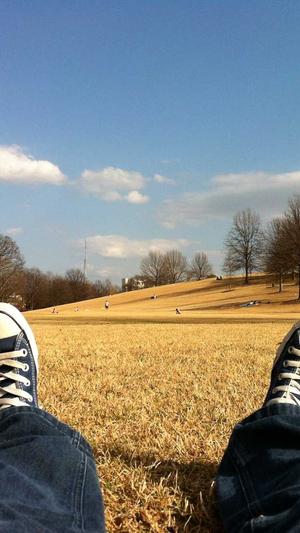 无锡站外seo推广工具截图2