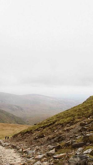 蜘蛛池怎么用视频截图4