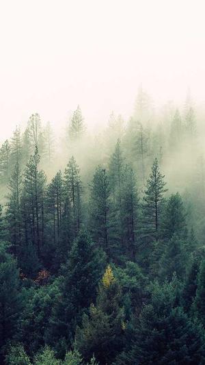 ok链蜘蛛池截图3