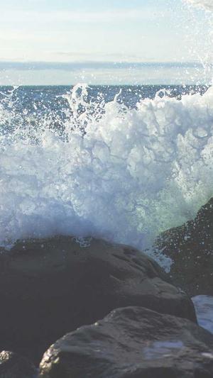 黑帽蜘蛛池4.9截图1