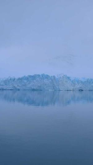 蜘蛛池平台源码截图1