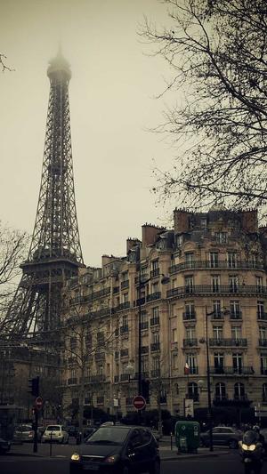 无限繁殖泛目录截图1