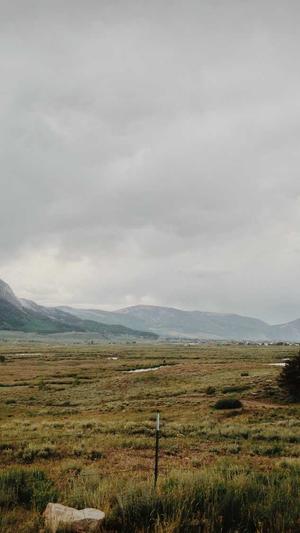 西安seo工具推荐截图2