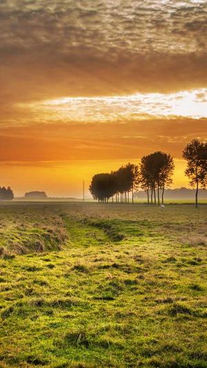 seo的诊断工具截图2