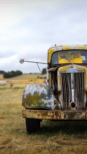 超级外链工具 蜘蛛池截图3