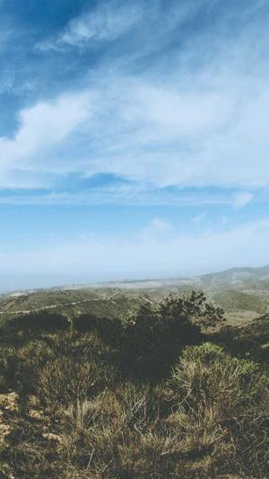 免费seo培训截图3