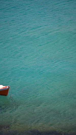 江西蜘蛛池租用服务截图1