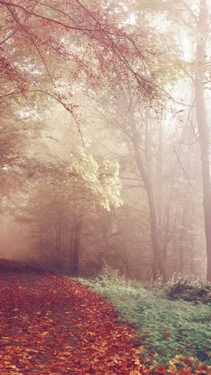 seo排名点击工具截图3