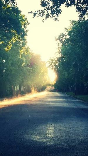 阿里蜘蛛池截图5