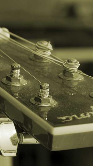 seo优化工具在线咨询截图2