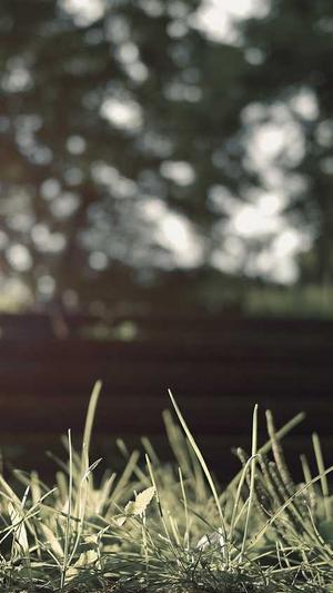 seo 泛目录截图1