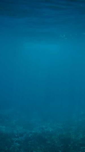 十堰网站建设截图3