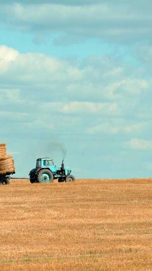 无限繁殖泛目录截图5