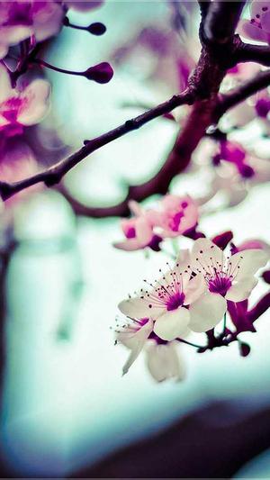 十大网站建设公司截图3