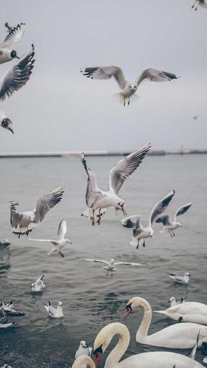 天津seo排名截图3