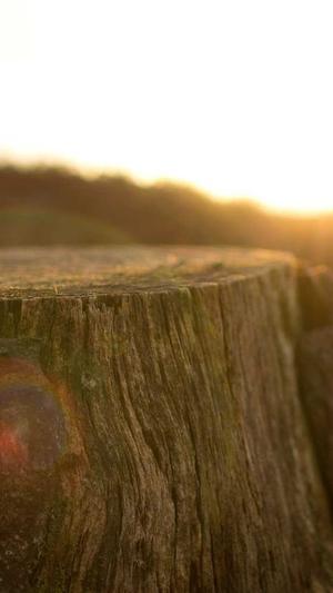 泛目录站群软件最新截图1