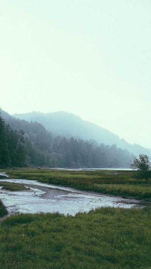 重庆网站seo方法截图1