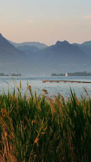 泛目录源码免费截图1