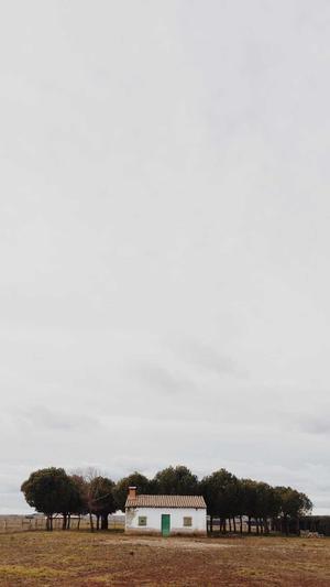 建设论坛网站截图4