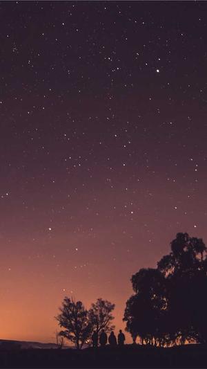 珠海网站建设公司截图5