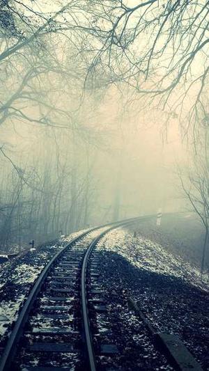 建设论坛网站截图1