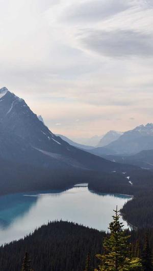 泛目录破解版程序截图2