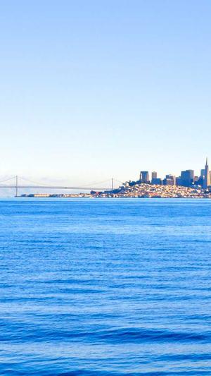 站长工具seo 优化截图2