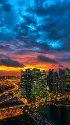 云南蜘蛛池租用服务截图5