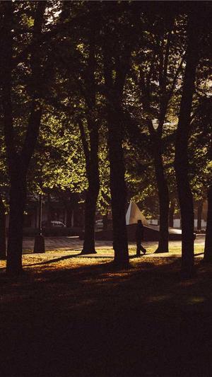 长沙seo顾问截图4