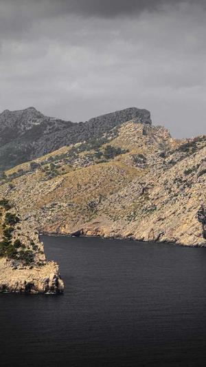 seo谷歌关键词优化工具截图2