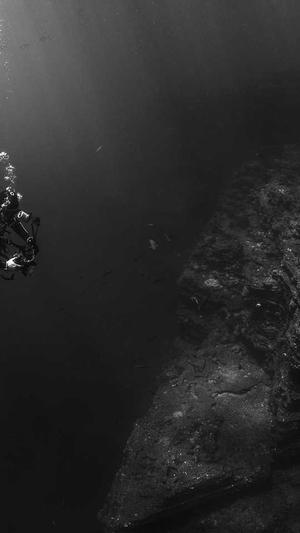 网站seo自动优化工具截图1