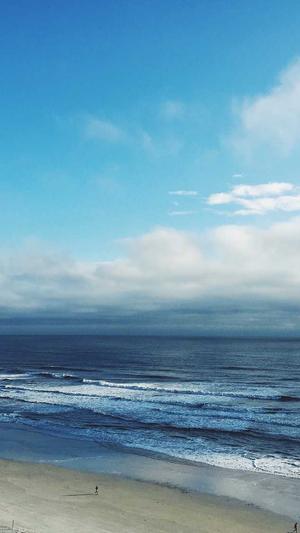 无名新闻蜘蛛池程序截图1