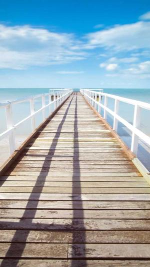 seo站长工具查询截图1