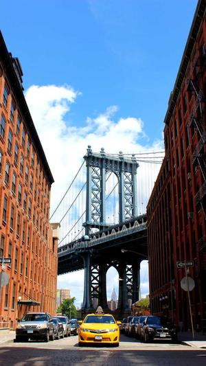 seo 泛目录截图2