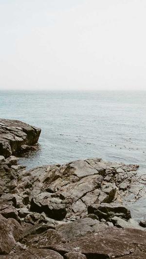 在线seo工具seo顾问截图1