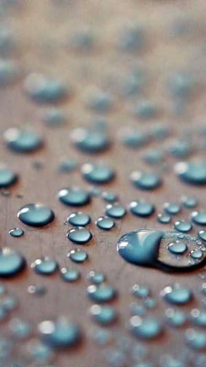 保定seo优化截图4