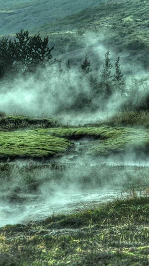 泛目录批量生成蜘蛛池截图1