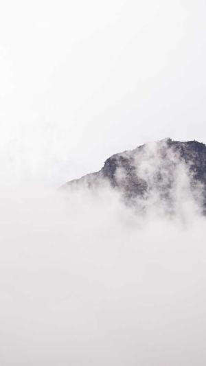 seo培训学院官网截图3