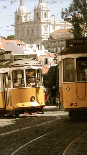 seo在线分析工具截图5