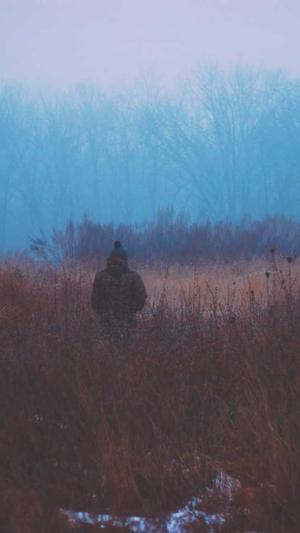 常德网站建设截图3