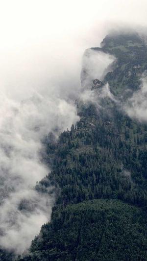 泛目录合作截图2