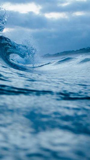 商城网站建设浩森宇特截图3