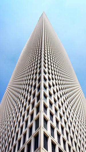 泛目录解析站群程序截图2