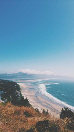 蜘蛛池工具下载截图5